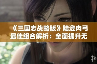 《三国志战略版》陆逊肉弓最佳组合解析：全面提升无军民程普战力策略