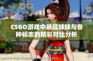 CSGO游戏中暴躁妹妹与各种标志的精彩对比分析
