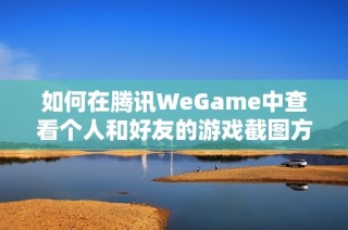 如何在腾讯WeGame中查看个人和好友的游戏截图方法