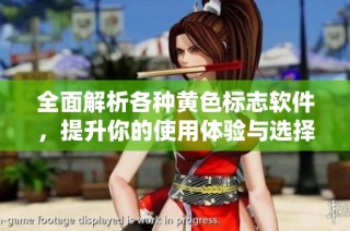 全面解析各种黄色标志软件，提升你的使用体验与选择指南
