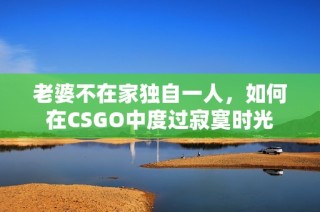 老婆不在家独自一人，如何在CSGO中度过寂寞时光