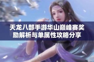 天龙八部手游华山巅峰赛奖励解析与单属性攻略分享