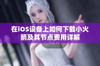 在iOS设备上如何下载小火箭及其节点费用详解