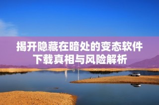 揭开隐藏在暗处的变态软件下载真相与风险解析