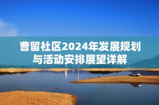 曹留社区2024年发展规划与活动安排展望详解