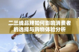 二三线品牌如何影响消费者的选择与购物体验分析