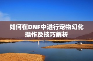 如何在DNF中进行宠物幻化操作及技巧解析