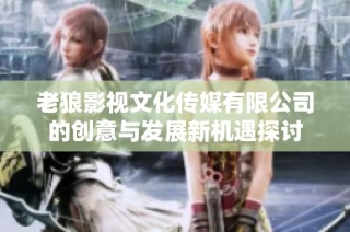 老狼影视文化传媒有限公司的创意与发展新机遇探讨