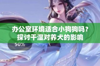 办公室环境适合小狗狗吗？探讨干湿对养犬的影响