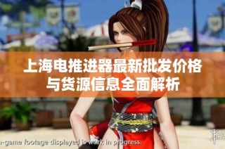 上海电推进器最新批发价格与货源信息全面解析