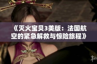 《灭火宝贝3美版：法国航空的紧急解救与惊险旅程》