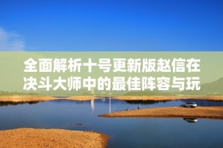 全面解析十号更新版赵信在决斗大师中的最佳阵容与玩法策略