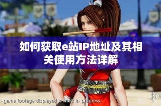 如何获取e站IP地址及其相关使用方法详解