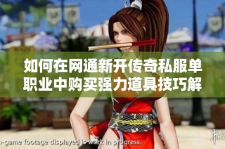 如何在网通新开传奇私服单职业中购买强力道具技巧解析