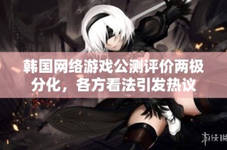 韩国网络游戏公测评价两极分化，各方看法引发热议
