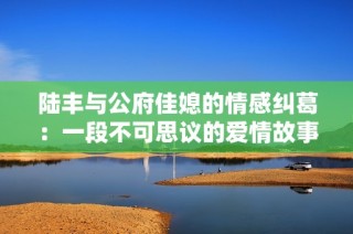 陆丰与公府佳媳的情感纠葛：一段不可思议的爱情故事