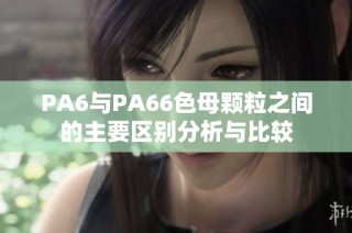 PA6与PA66色母颗粒之间的主要区别分析与比较