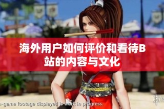 海外用户如何评价和看待B站的内容与文化