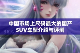 中国市场上尺码最大的国产SUV车型介绍与评测