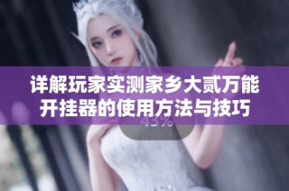 详解玩家实测家乡大贰万能开挂器的使用方法与技巧