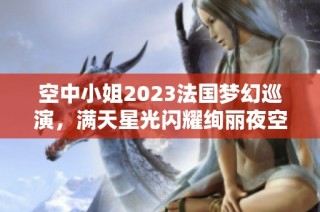 空中小姐2023法国梦幻巡演，满天星光闪耀绚丽夜空