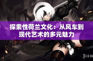 探索性荷兰文化：从风车到现代艺术的多元魅力
