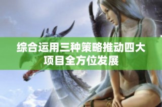 综合运用三种策略推动四大项目全方位发展