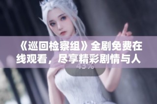 《巡回检察组》全剧免费在线观看，尽享精彩剧情与人物魅力