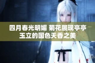 四月春光明媚 菊花展现亭亭玉立的国色天香之美