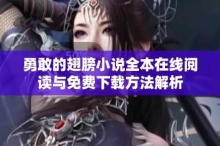 勇敢的翅膀小说全本在线阅读与免费下载方法解析