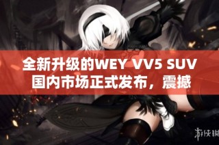 全新升级的WEY VV5 SUV 国内市场正式发布，震撼来袭！