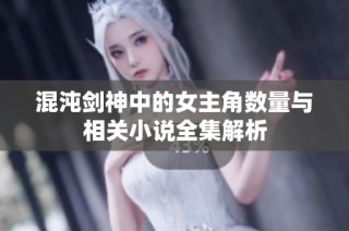 混沌剑神中的女主角数量与相关小说全集解析