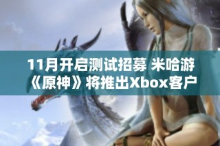 11月开启测试招募 米哈游《原神》将推出Xbox客户端新版本