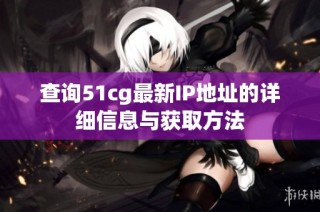 查询51cg最新IP地址的详细信息与获取方法