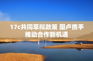17c共同草拟政策 国卢携手推动合作新机遇
