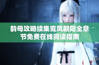 韵母攻略续集鸾凤朝阳全章节免费在线阅读指南