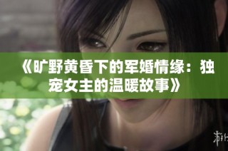 《旷野黄昏下的军婚情缘：独宠女主的温暖故事》