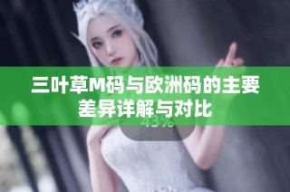 三叶草M码与欧洲码的主要差异详解与对比