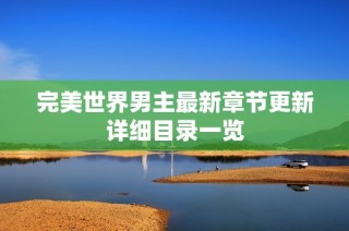 完美世界男主最新章节更新详细目录一览