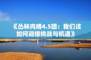《丛林肉搏4.5团：我们该如何迎接挑战与机遇》