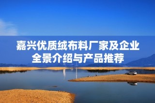 嘉兴优质绒布料厂家及企业全景介绍与产品推荐