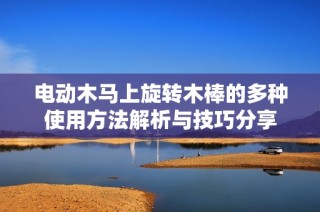 电动木马上旋转木棒的多种使用方法解析与技巧分享