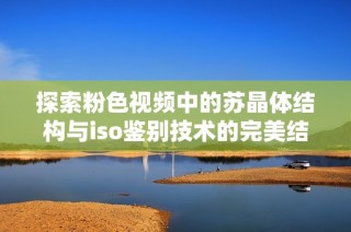 探索粉色视频中的苏晶体结构与iso鉴别技术的完美结合
