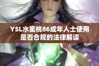 YSL水蜜桃86成年人士使用是否合规的法律解读