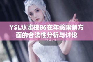 YSL水蜜桃86在年龄限制方面的合法性分析与讨论