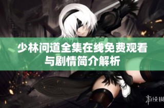 少林问道全集在线免费观看与剧情简介解析