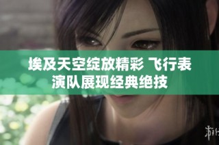 埃及天空绽放精彩 飞行表演队展现经典绝技