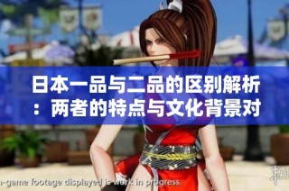 日本一品与二品的区别解析：两者的特点与文化背景对比