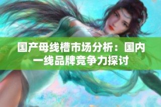 国产母线槽市场分析：国内一线品牌竞争力探讨