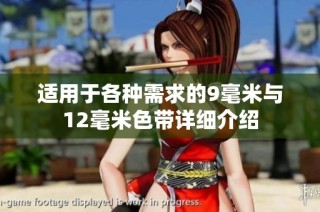 适用于各种需求的9毫米与12毫米色带详细介绍